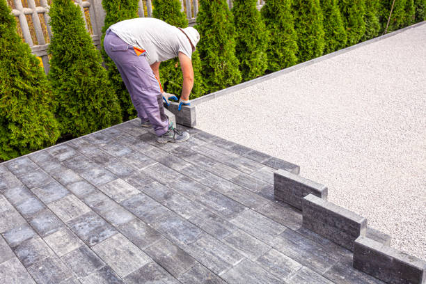 Best Driveway Paving Contractor  in Lake Wylie, SC