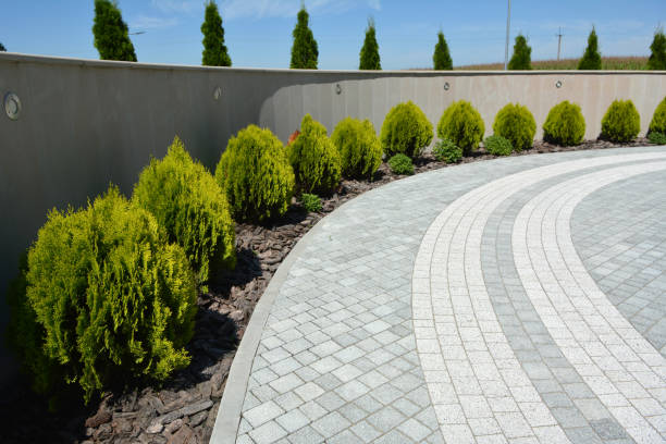 Best Driveway Paving Company  in Lake Wylie, SC